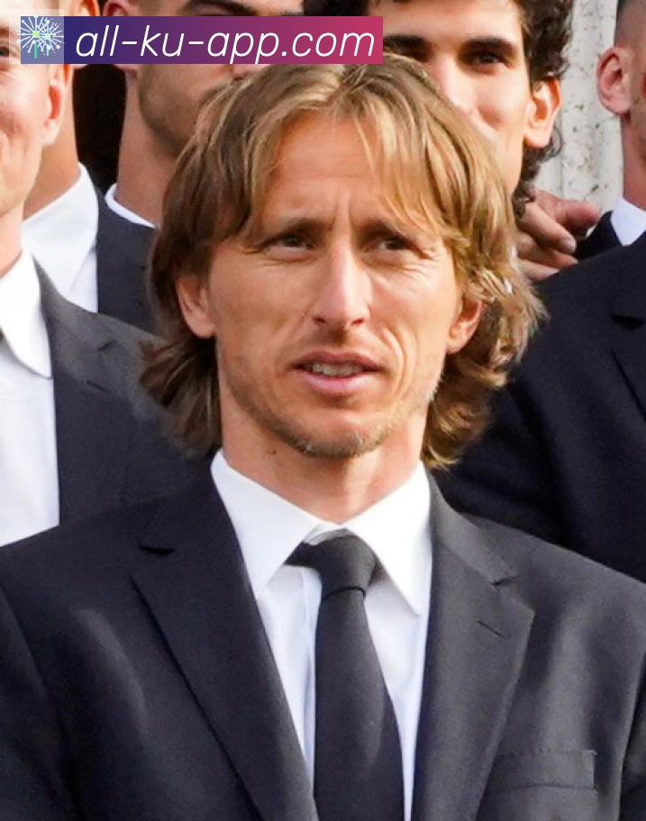维尼修斯